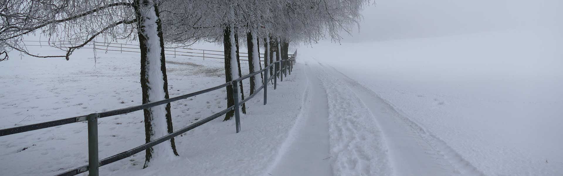 Header Wolfersdorf - Winter 2